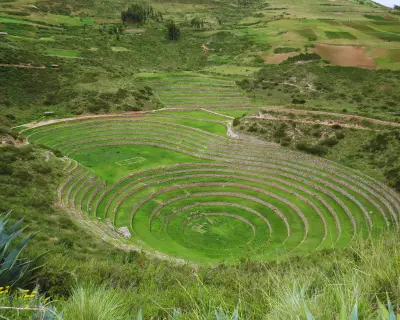 Moray