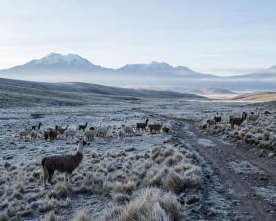 Paisajes del altiplano andino camino al pueblo de Phinaya