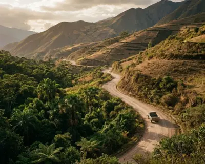 Retorno desde la Amazonía a Cusco