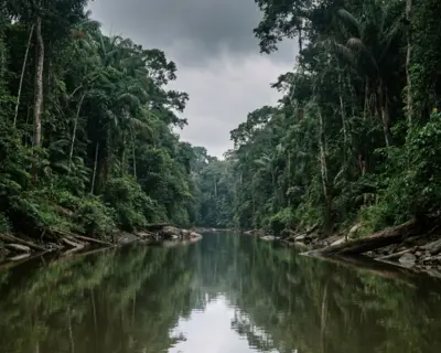 Río Alto Madre de Dios