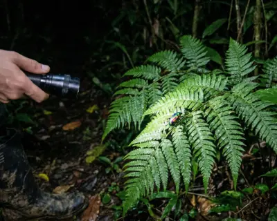 Erika Lodge en transición de selva alta y baja