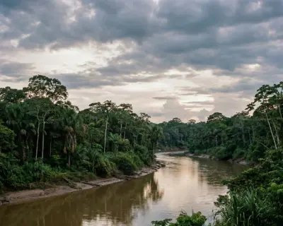 Río Manu atravesando selva virgen